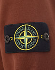 Stone Island Mens Hoodie In Brown
