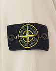 Stone Island Mens Hoodie In Stucco