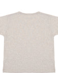 Aries Many Problemo Shrunken Tee 1 In Greymarl