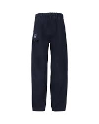 C.P. Company Mens Belted Eclipse Cargo Pants in Navy