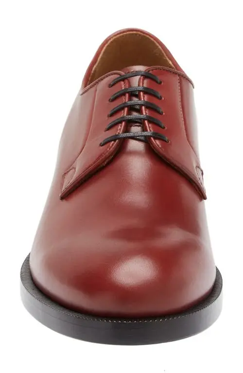 Mens Armando Cabral Derbys In Brown