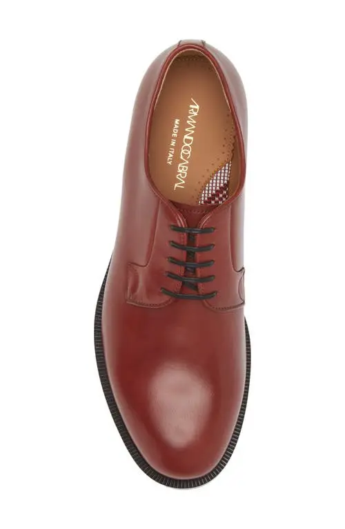 Mens Armando Cabral Derbys In Brown