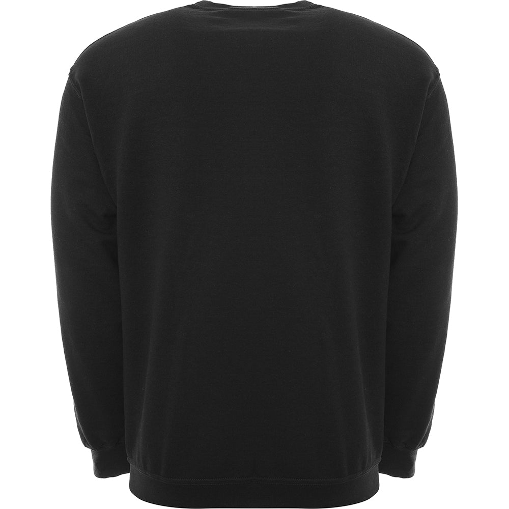 Aeropostale Men's Crew Neck Sweatshirt