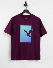 American Eagle Mens Set in T-Shirt In Brown