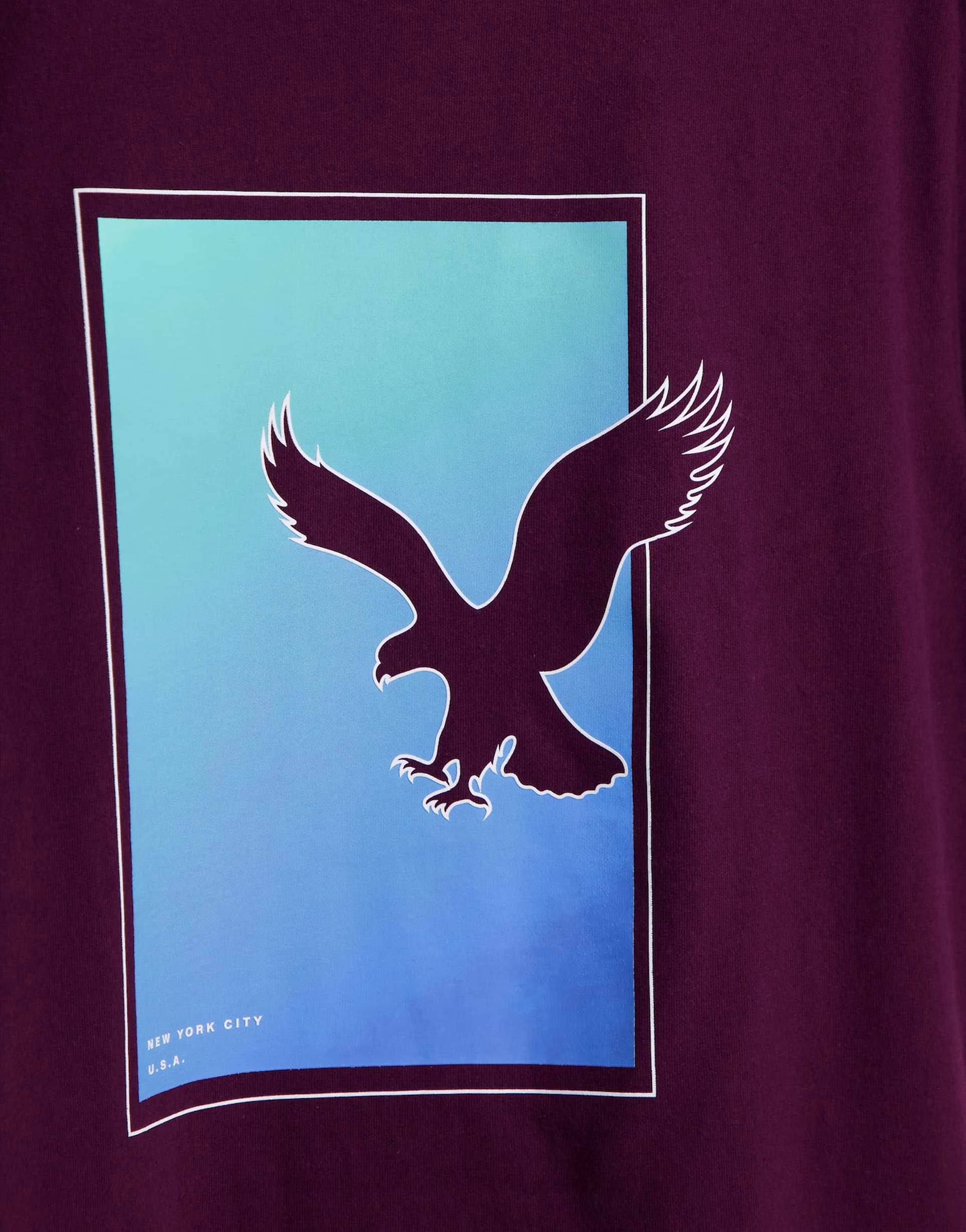 American Eagle Mens Set in T-Shirt In Brown