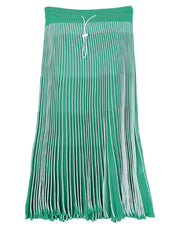 Valentino Garavani Women's Midi Skirt