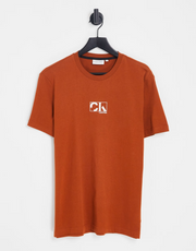 Calvin Klein Mens Graphic Box Logo T-Shirt in Rust In Brown