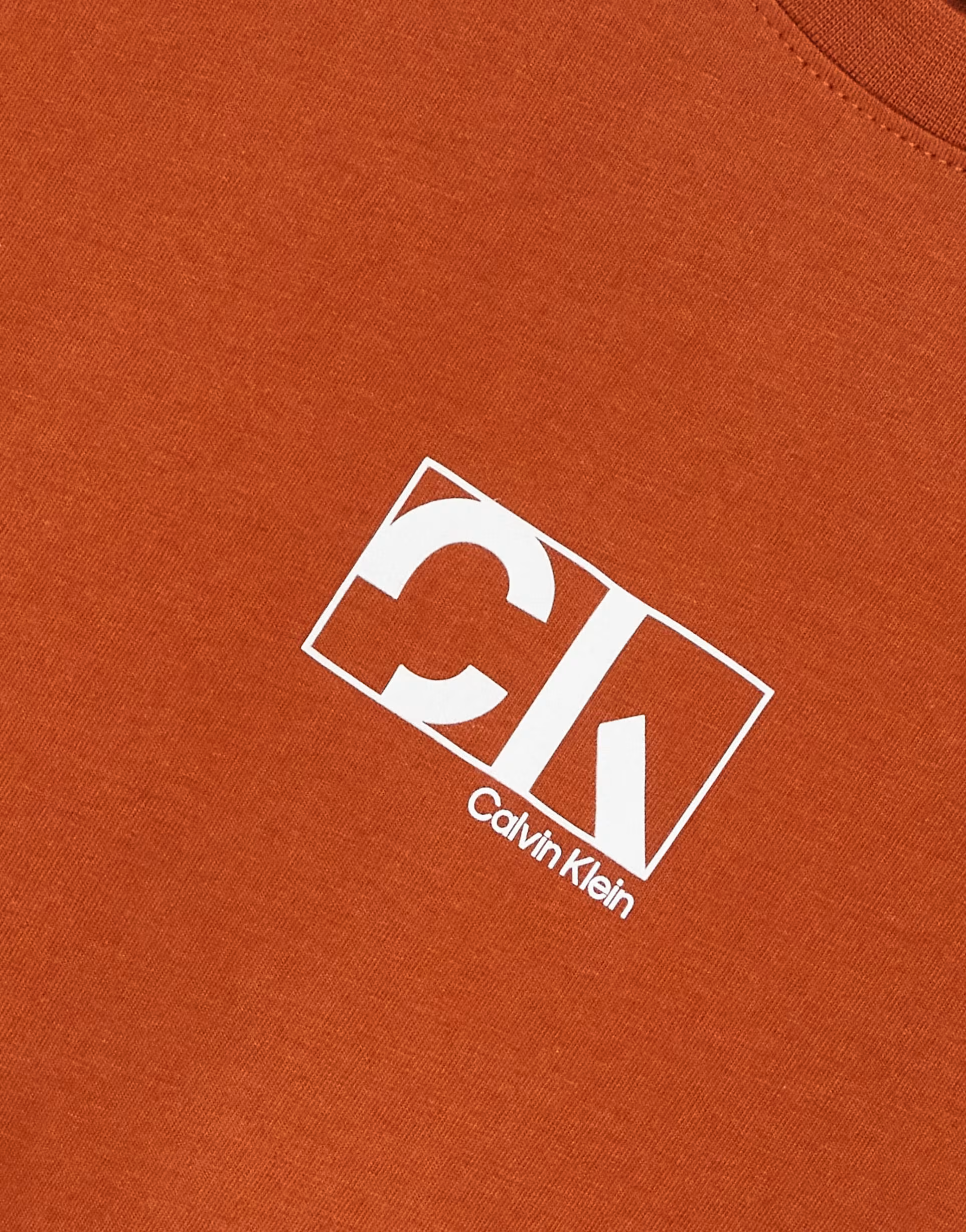 Calvin Klein Mens Graphic Box Logo T-Shirt in Rust In Brown