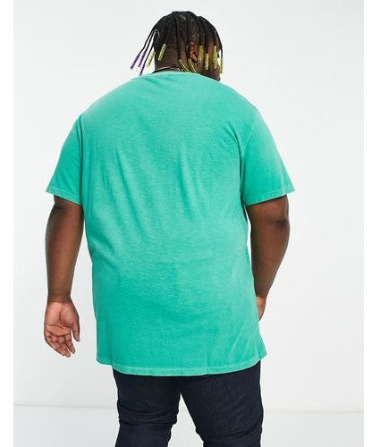 Polo Ralph Lauren Mens Big & Tall T-Shirt With Large Player Logo Print in Green