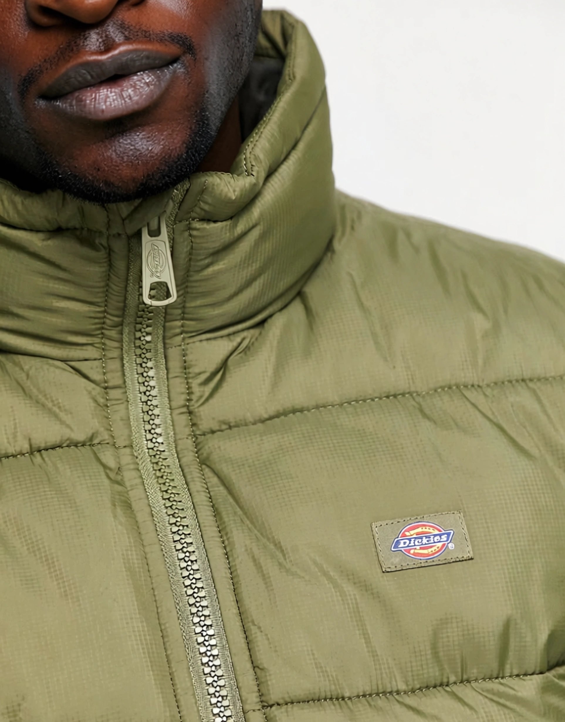Mens Dickies Waldenburg Jacket In Khaki