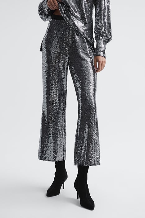Valeria Wide Leg & Flared Trousers in Silver