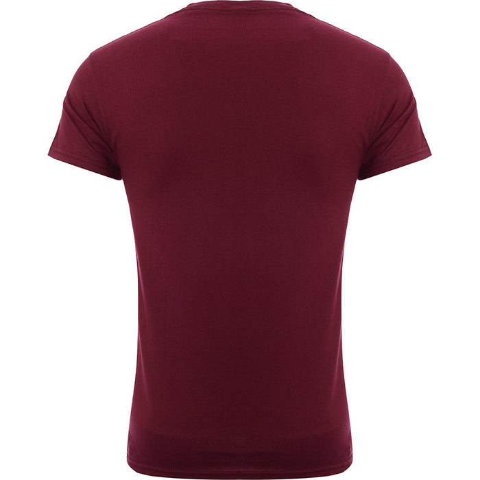 Mens FKN Awesome Promises T-Shirt in Maroon